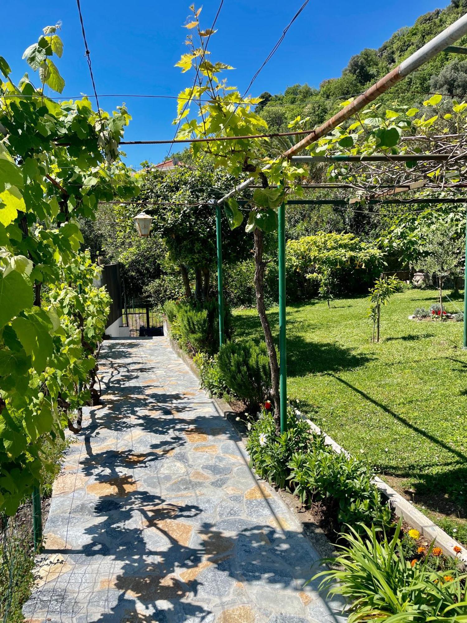 Apartmens Marina Bečići Exteriör bild