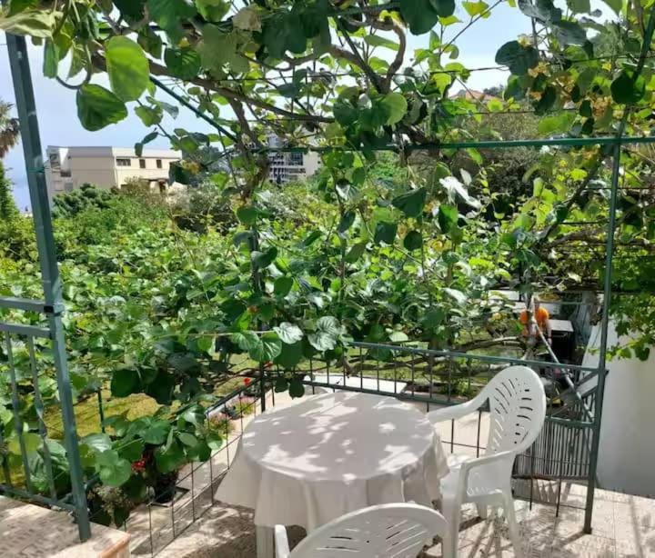 Apartmens Marina Bečići Exteriör bild