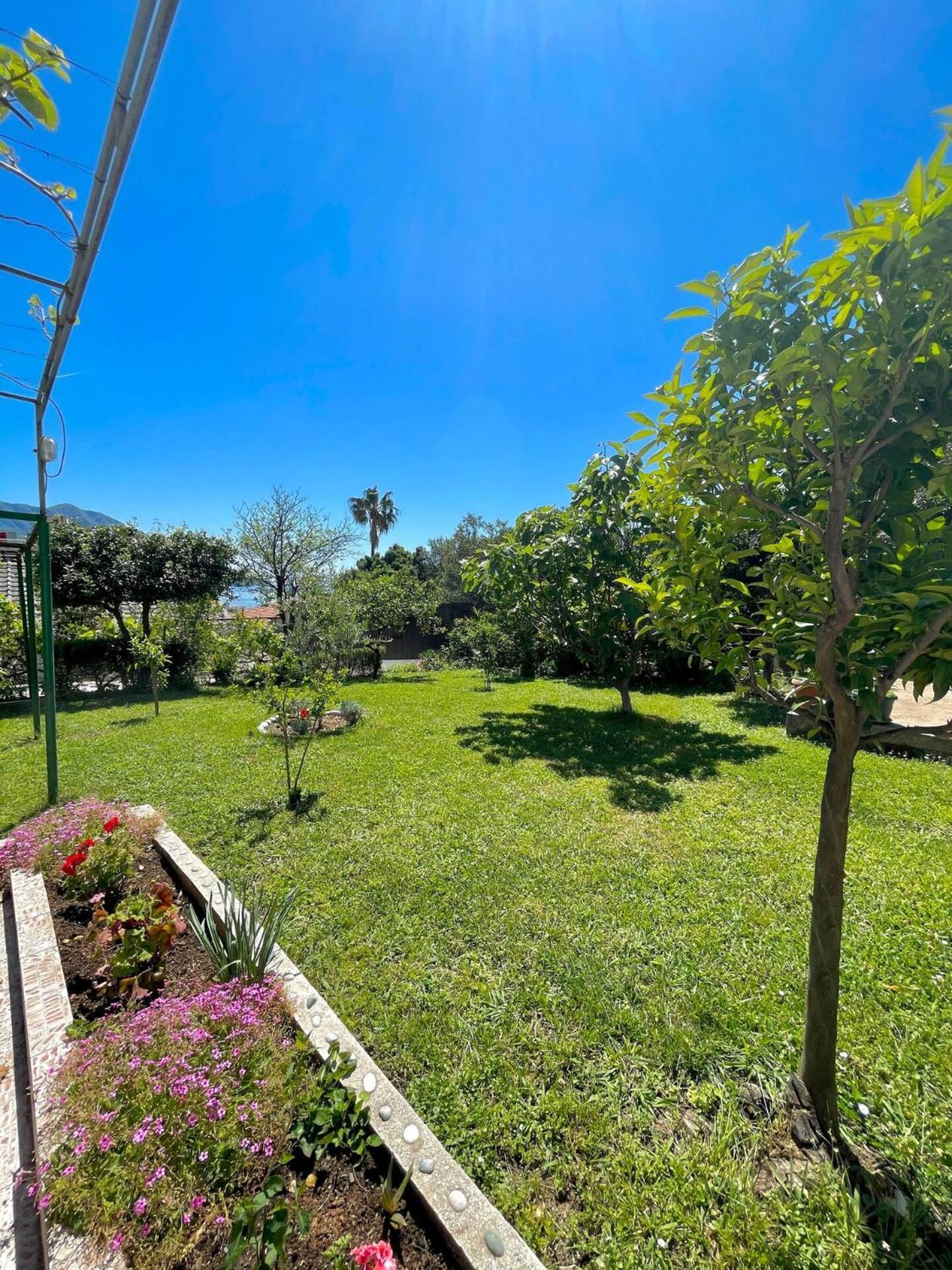Apartmens Marina Bečići Exteriör bild